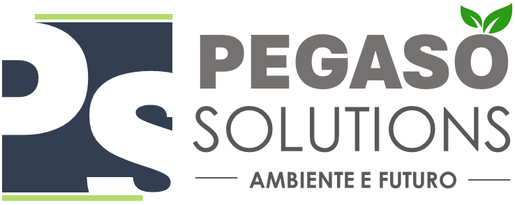 Pegaso Solutions srl